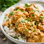 Slow Cooker Thai Peanut Chicken