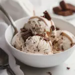 Moose Tracks Protein Ice Cream