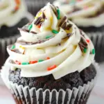 Chocolate Cupcakes with Vanilla Frosting